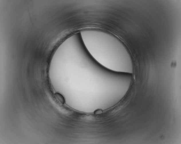 X0000114010253200910020959