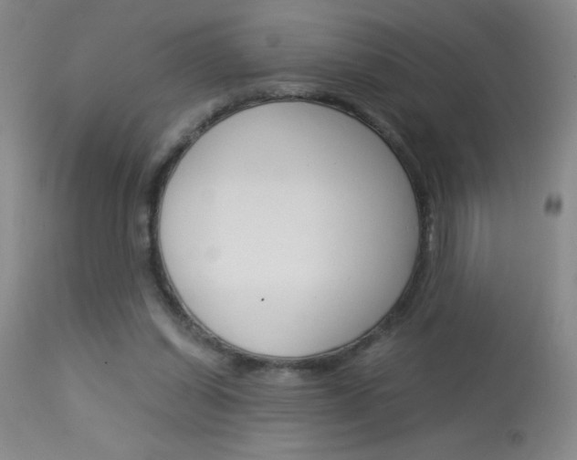X0000114010254200910020959