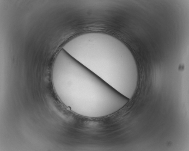 X0000114010255200910020959