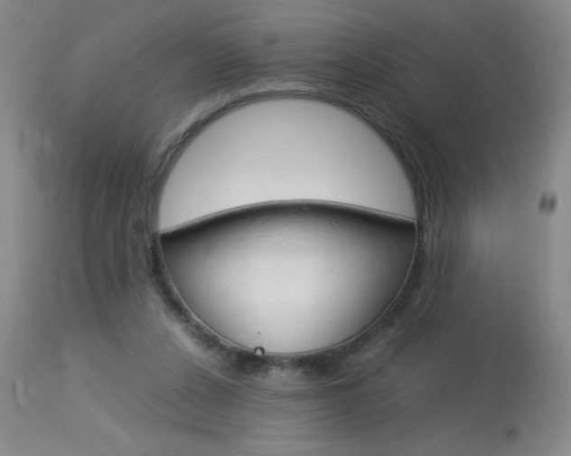 X0000114010256200910020959