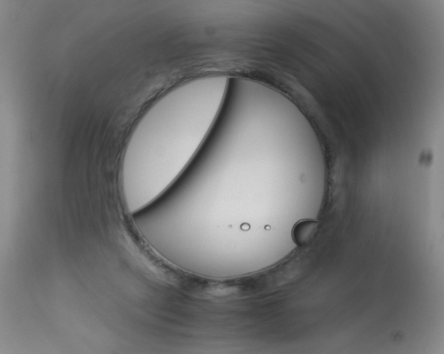 X0000114010257200910020959