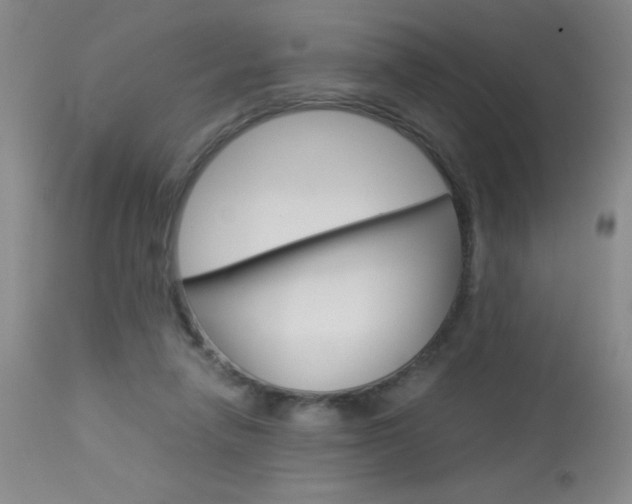 X0000114010258200910020959