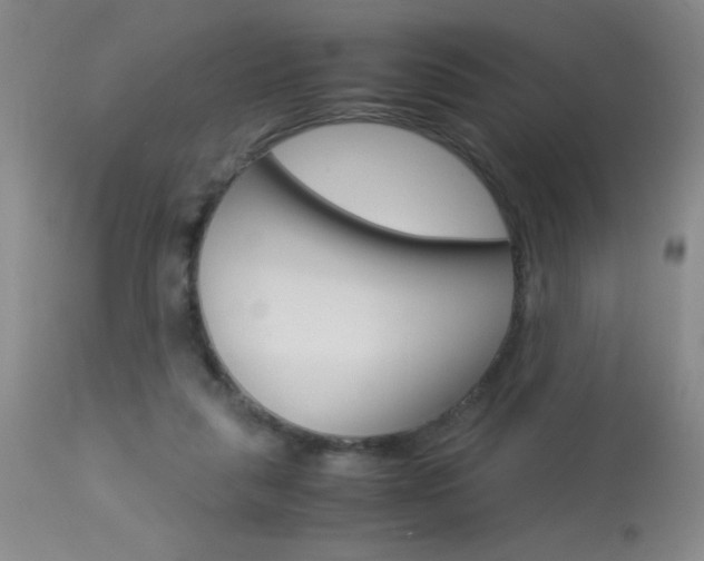 X0000114010259200910020959