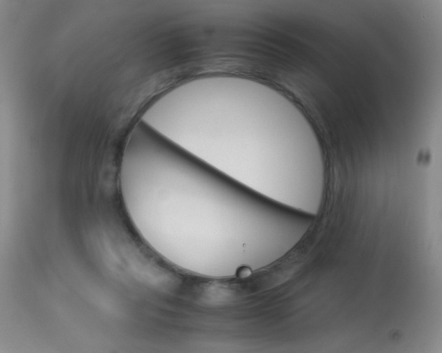 X0000114010261200910020959