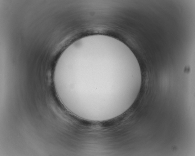X0000114010262200910020959