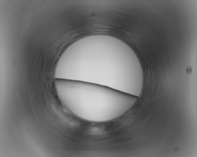 X0000114010263200910020959