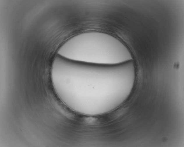 X0000114010265200910020959