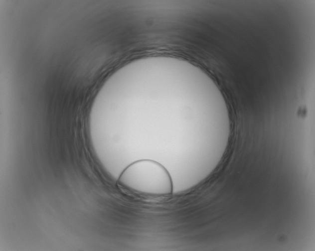 X0000114010272200910021000