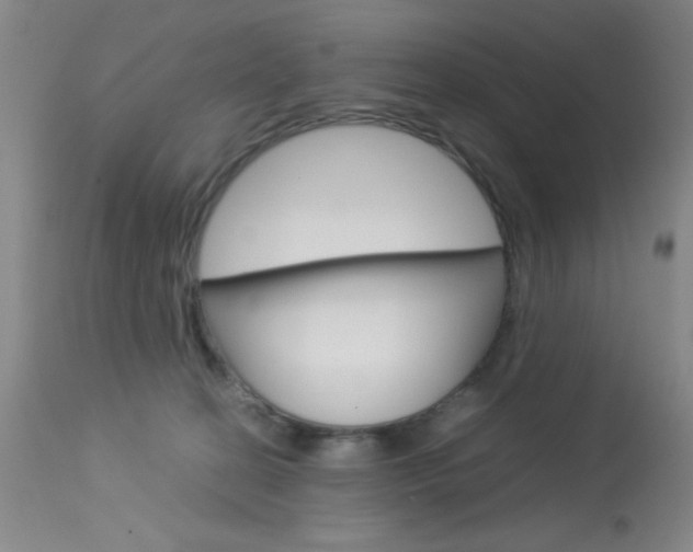 X0000114010274200910021000