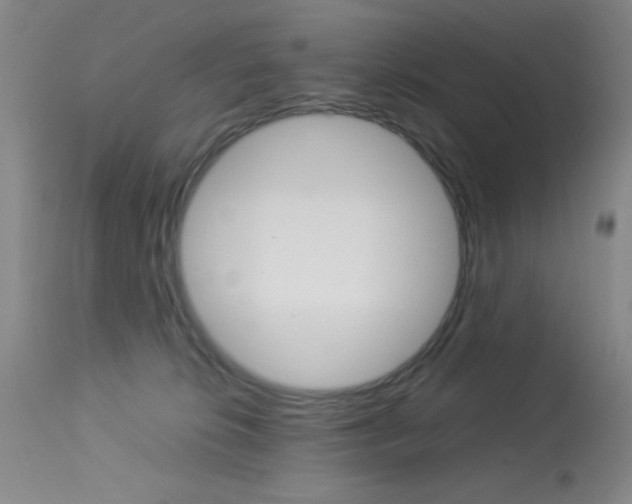 X0000114010276200910021000