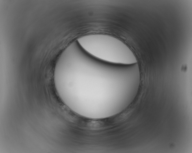 X0000114010277200910021000