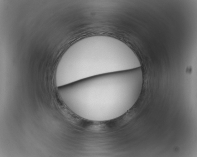 X0000114010278200910021000