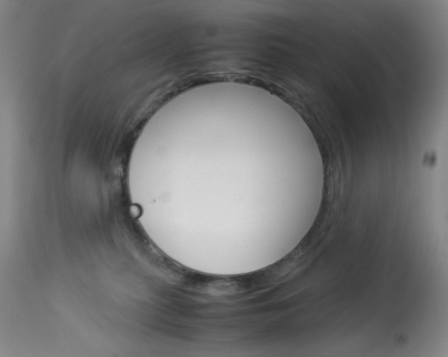 X0000114010279200910021000