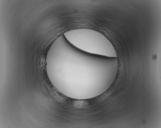 X0000114010281200910021000