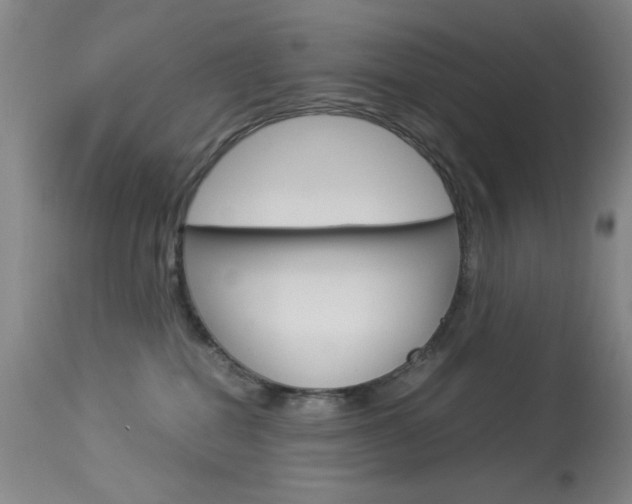 X0000114010282200910021000