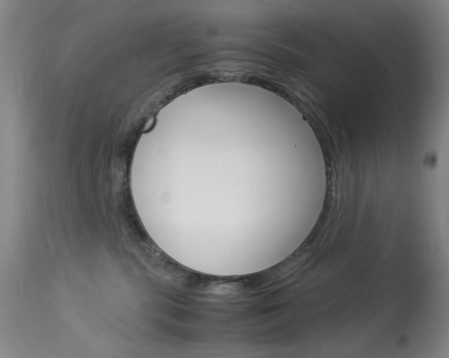 X0000114010283200910021000