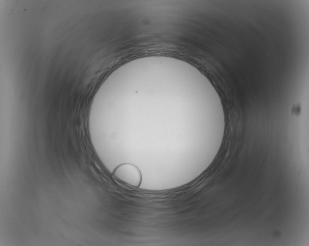 X0000114010284200910021000