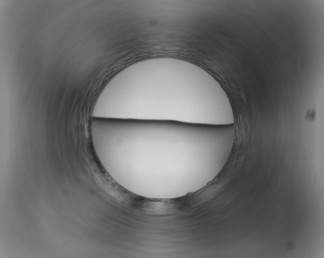 X0000114010286200910021000