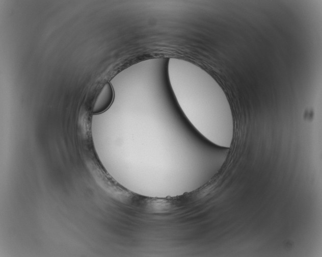 X0000114010287200910021000