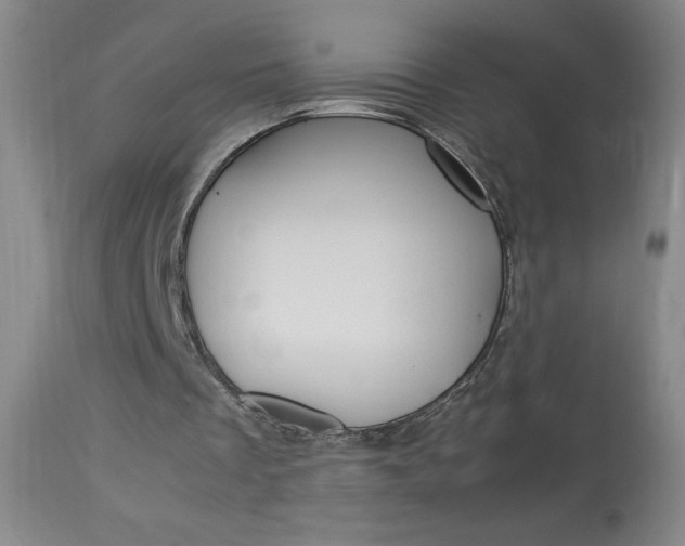 X0000114010289200910020959