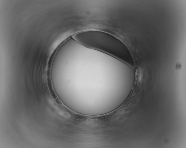 X0000114010292200910020959