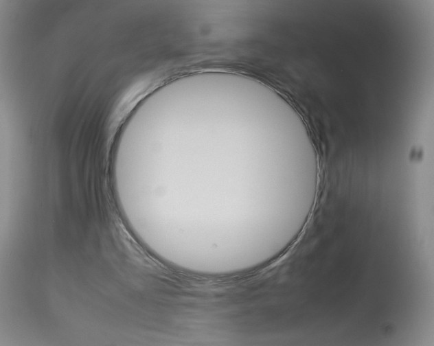X0000114010293200910020959