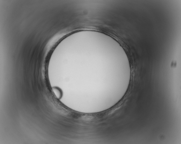 X0000114010294200910020959