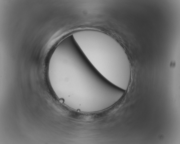 X0000114010295200910020959