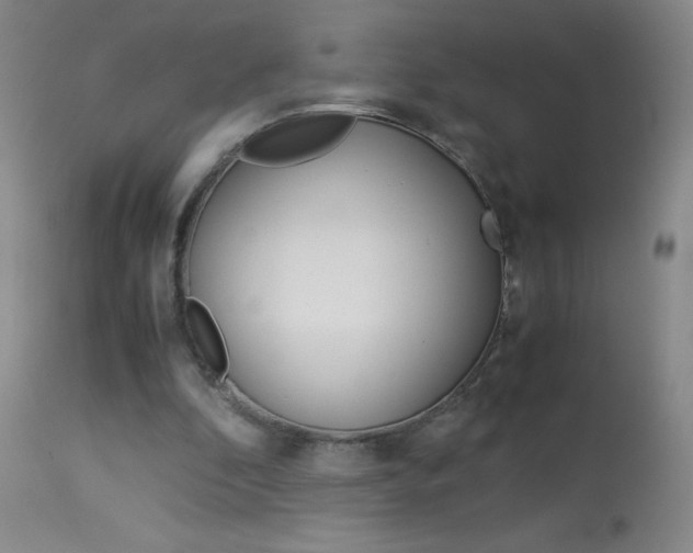 X0000114010296200910020959