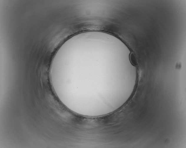 X0000114010297200910020959