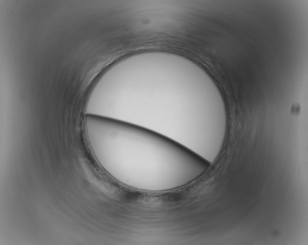 X0000114010299200910020959