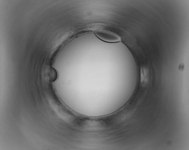 X0000114010300200910020959