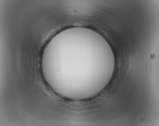 X0000114010303200910020959