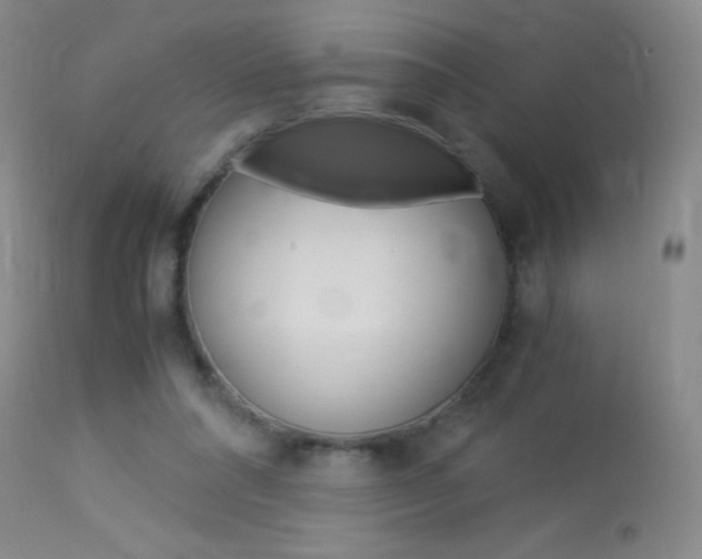 X0000114010304200910020959
