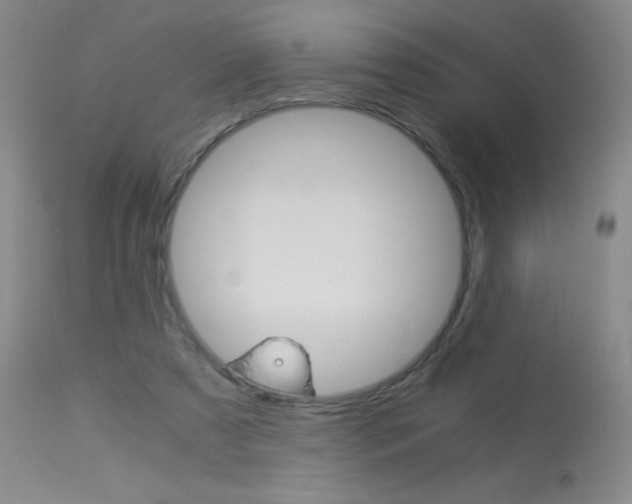 X0000114010305200910020959