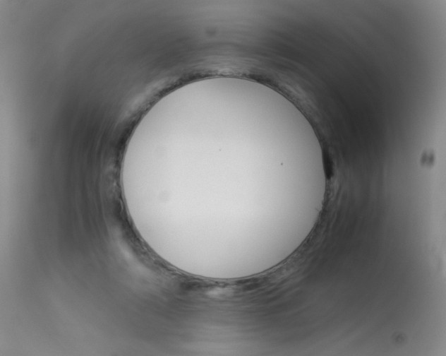 X0000114010306200910020959