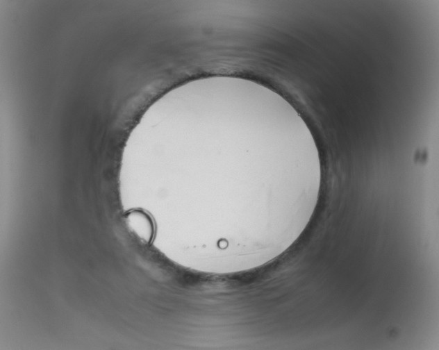 X0000114010307200910020959