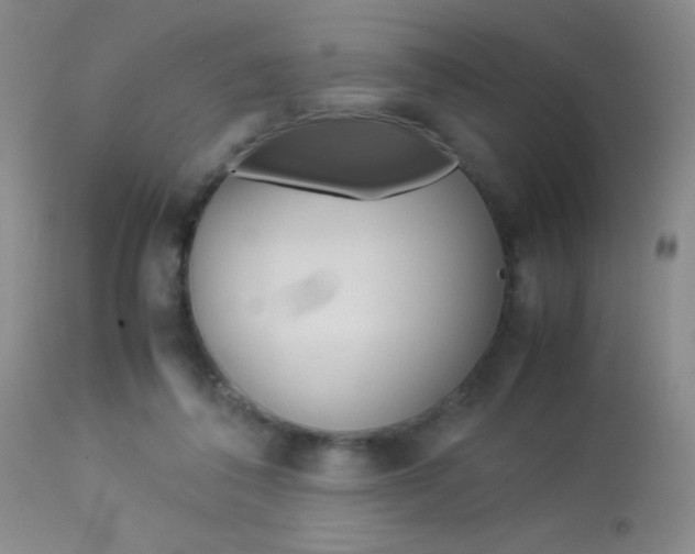 X0000114010308200910020959
