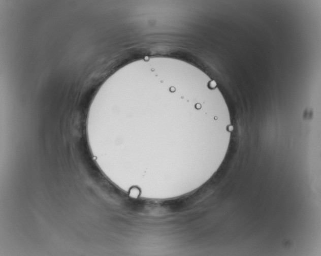 X0000114010311200910020959