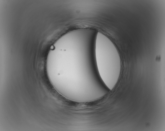 X0000114010315200910020959