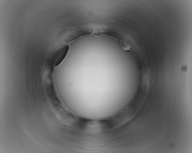 X0000114010316200910020959