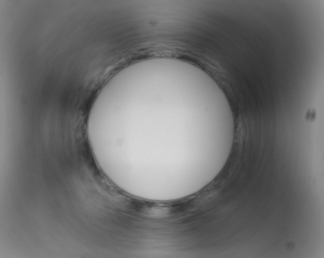 X0000114010318200910020959