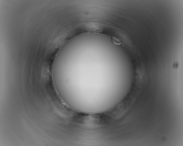 X0000114010320200910020958