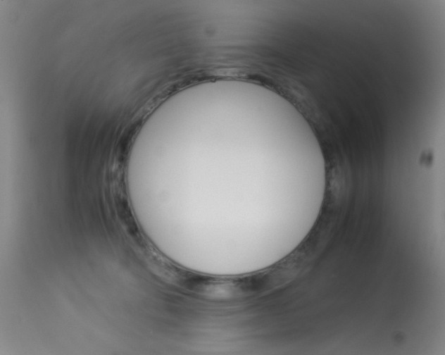 X0000114010322200910020958