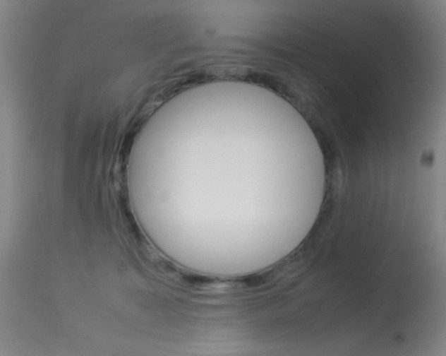 X0000114010323200910020958