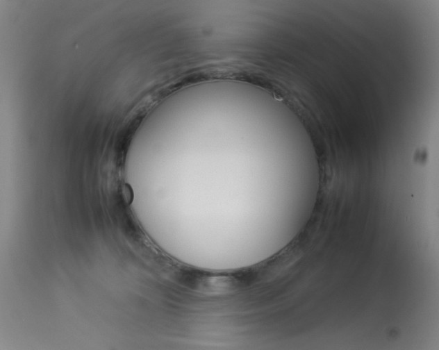 X0000114010324200910020958