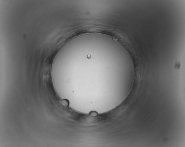 X0000114010325200910020958