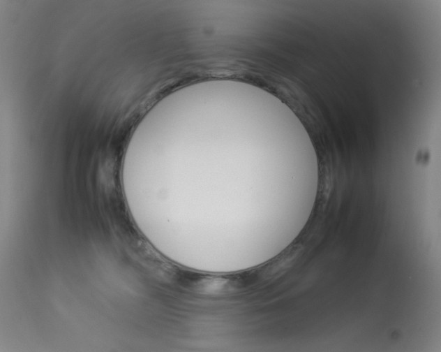 X0000114010326200910020958