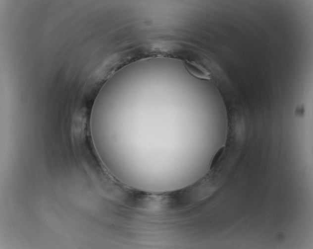 X0000114010328200910020958