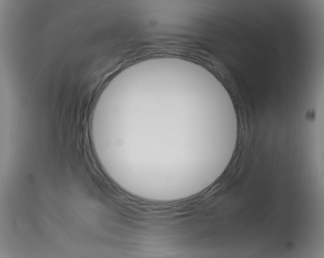 X0000114010329200910020958